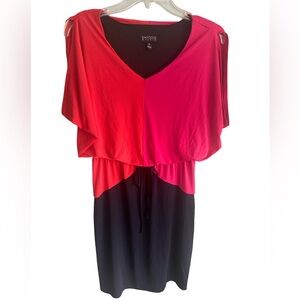 Enfocus Studio Color Block Dress